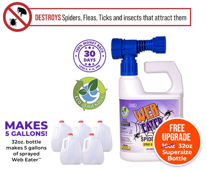 Makes 5 Gallons! 32oz. bottle makes 5 gallons of sprayed Web Eater™